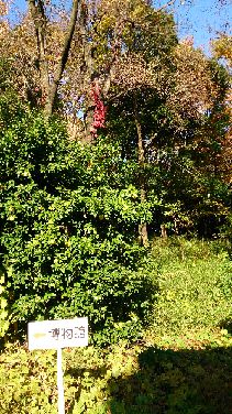 ファイル 12-4.jpg