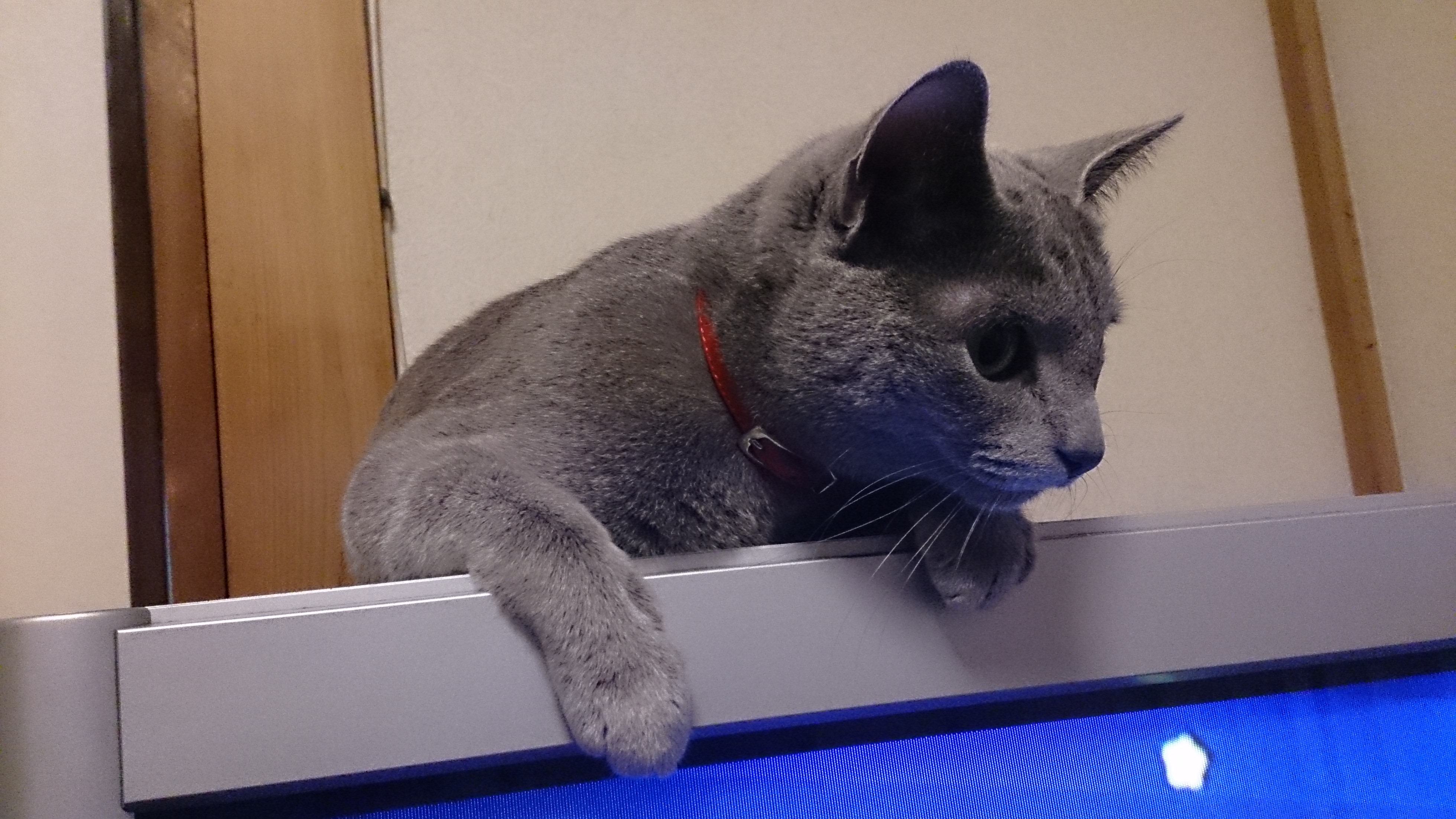 ファイル 2-1.jpg