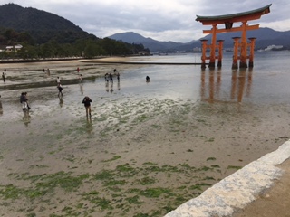 ファイル 30-2.jpg