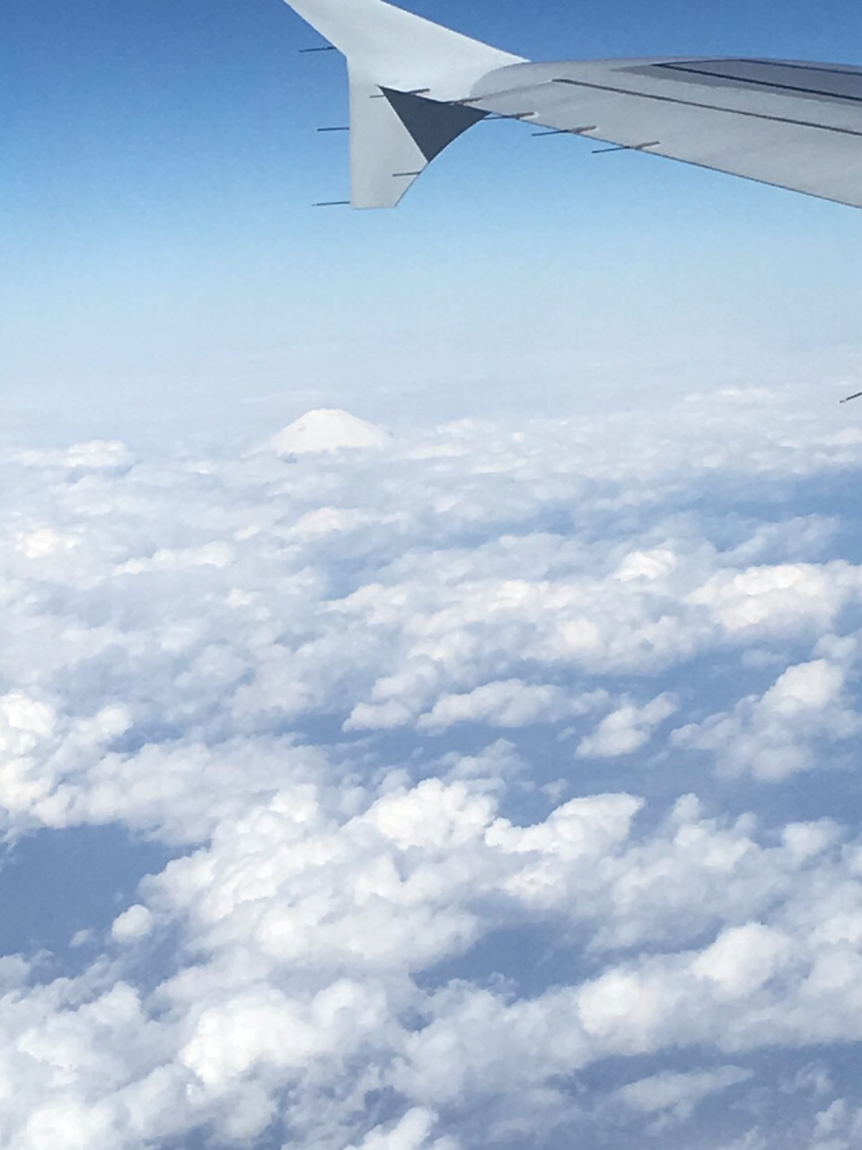 ファイル 33-1.jpg