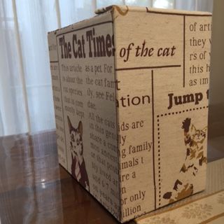 ファイル 37-1.jpg