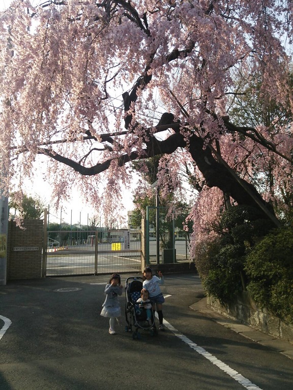 ファイル 4-1.jpg