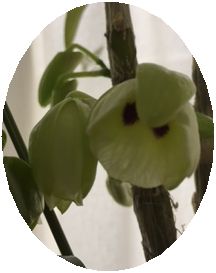 ファイル 43-2.jpg