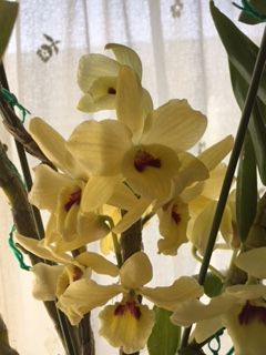 ファイル 43-3.jpg