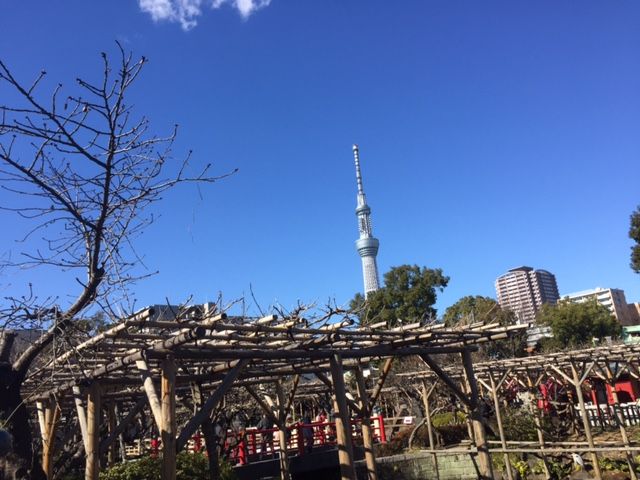 ファイル 44-1.jpg