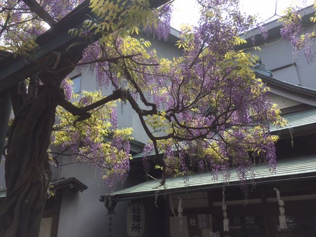 ファイル 44-2.jpg