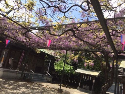 ファイル 44-3.jpg