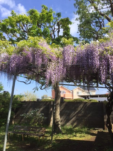 ファイル 44-4.jpg