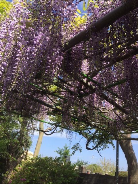 ファイル 44-5.jpg