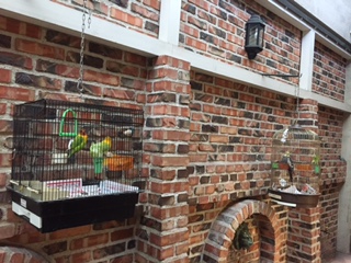 ファイル 46-2.jpg