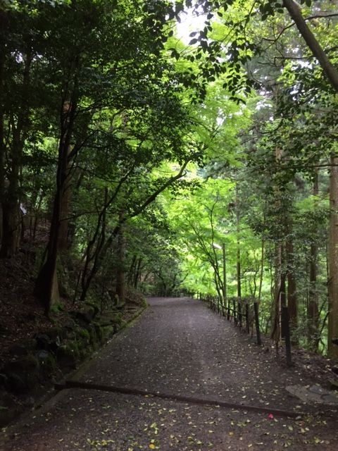 ファイル 47-1.jpg