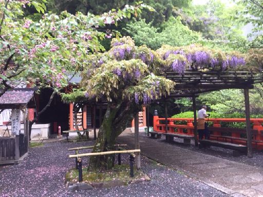 ファイル 47-5.jpg