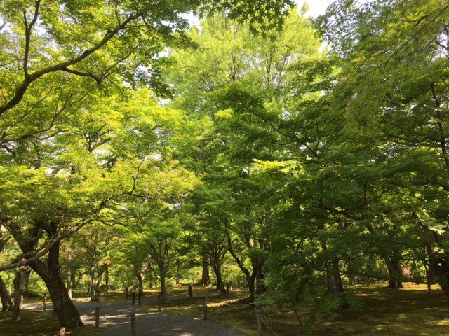 ファイル 48-1.jpg