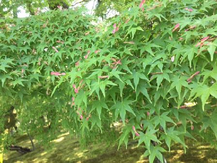 ファイル 48-2.jpg