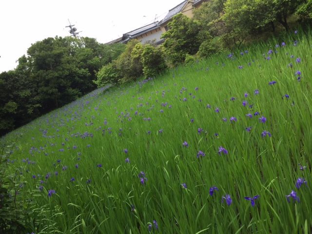 ファイル 48-3.jpg