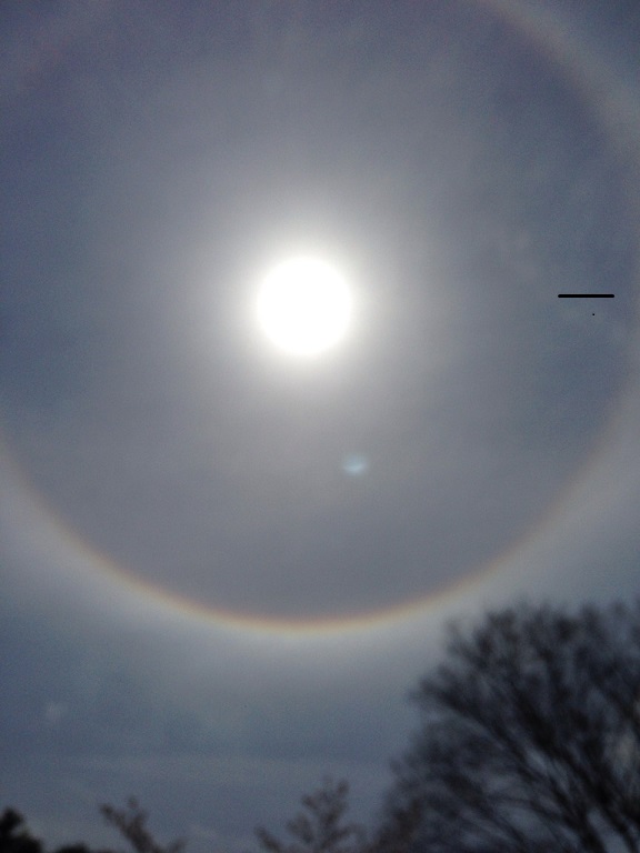 ファイル 5-1.jpg