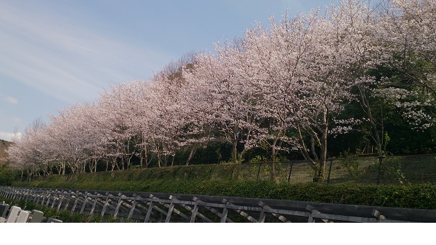 ファイル 5-3.jpg