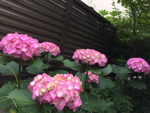 ファイル 60-1.jpg